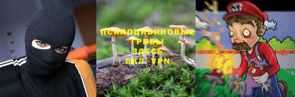 прущая мука Аркадак