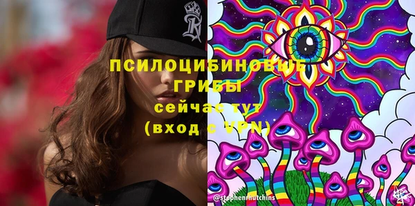 прущая мука Аркадак