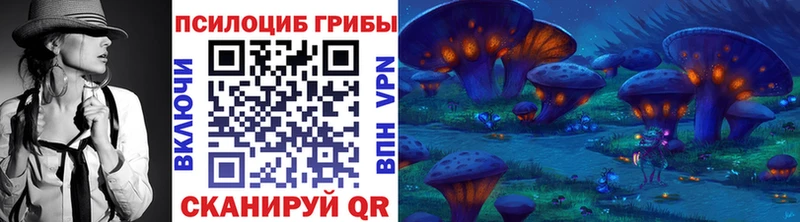 Галлюциногенные грибы Psilocybe  Судак 